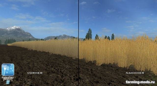 Мод "Forgotten Plants – Wheat / Barley v 1.0" Мод "Forgotten Plants – Wheat / Barley v 1.0"