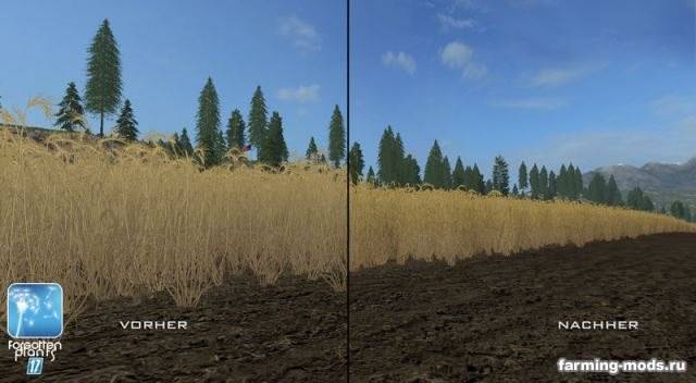 Мод "Forgotten Plants – Wheat / Barley v 1.0" Мод "Forgotten Plants – Wheat / Barley v 1.0"