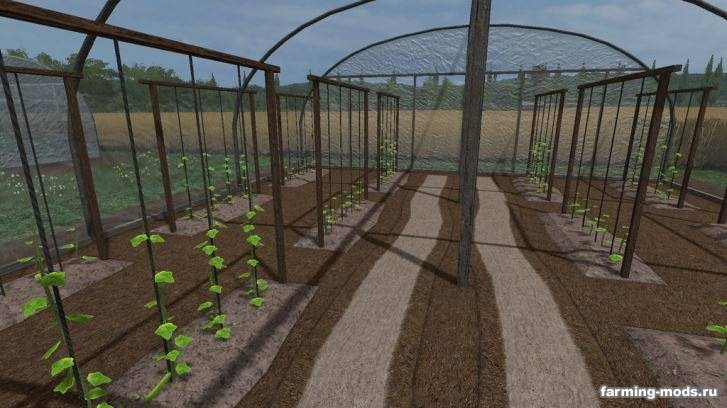 Мод "Теплица с огурцами и доходом - Plasticfoil Greenhouse (Cucumber) v 1.0" 