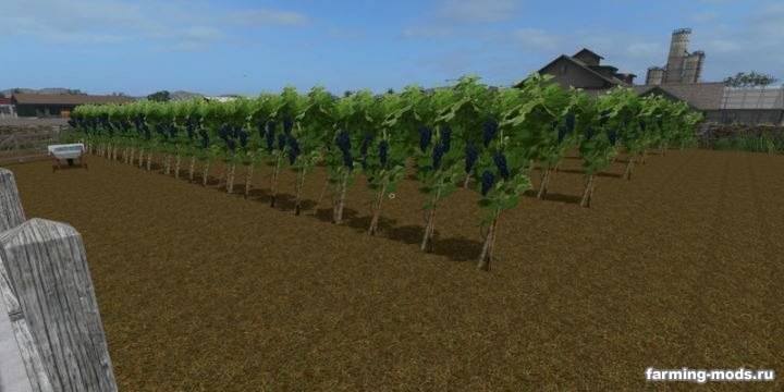 Мод "Виноградная ферма - Grape Farm v 1.0" 