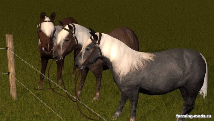 Мод "Rideable Pony v 1.0" 