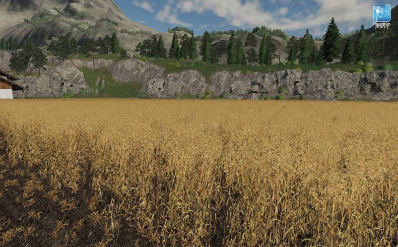 Мод Текстуры овса - Forgotten Plants - Oat v 1.0 для Farming Simulator 2019