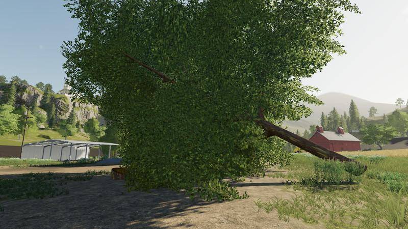 Мод Покупаемое лиственное дерево - Deciduous tree placeable v 1.0 для Farming Simulator 2019