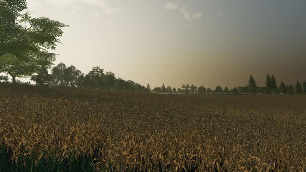 Мод Карта New Bartelshagen v 1.0 для Farming Simulator 2019